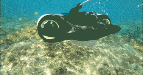 水中ドローンBW Space Pro水中ホバリング。ワンクリックで深度維持したまま撮影し続けます