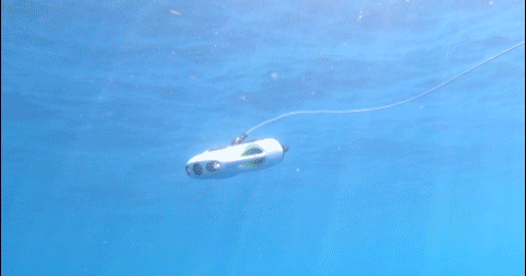水中ドローンBW Space Pro-仰俯角最大45度調整・維持・推進